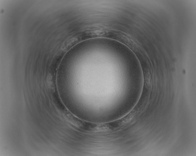 X0000076380270200610161122