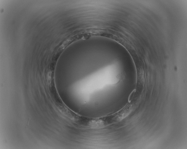 X0000076380271200610161122