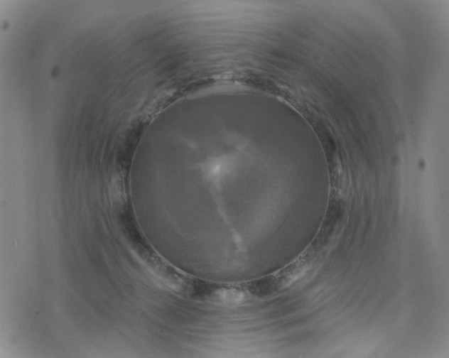 X0000076380272200610161122