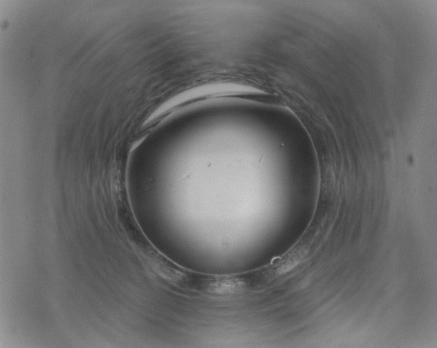 X0000076380274200610161123