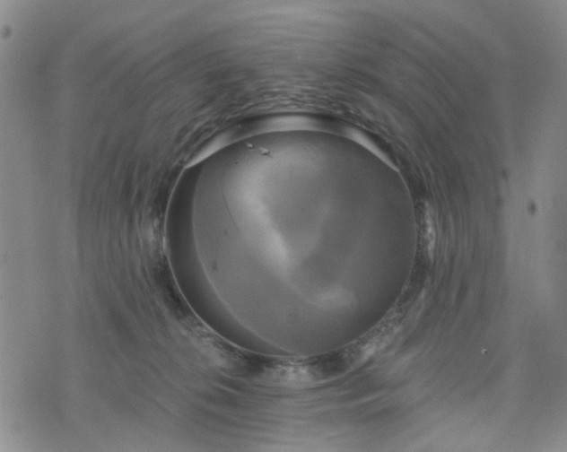 X0000076380276200610161123