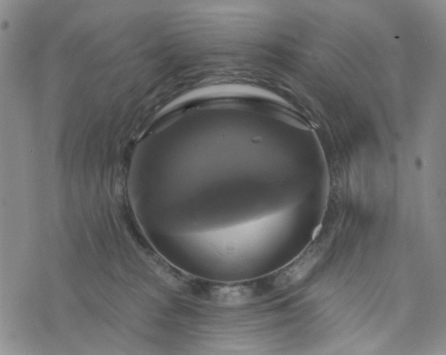 X0000076380277200610161123