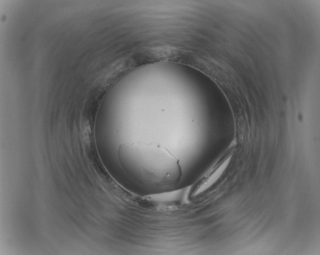 X0000076380279200610161123