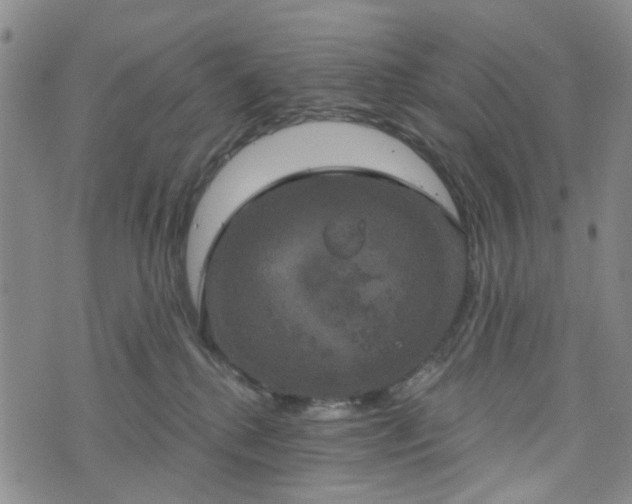 X0000076380280200610161123