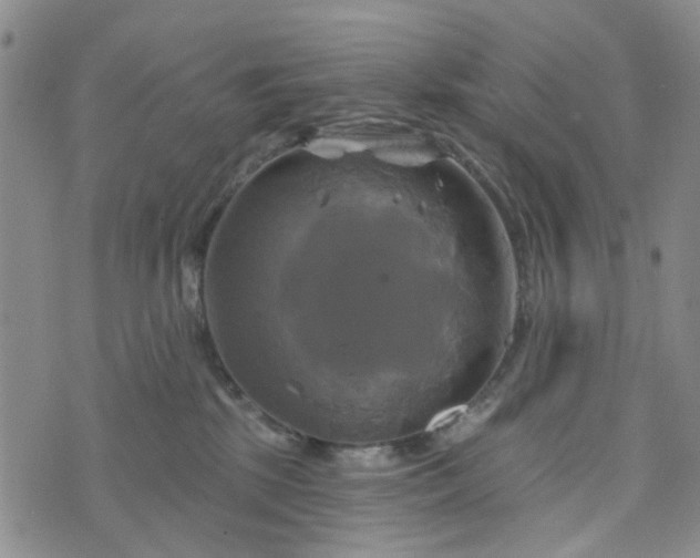 X0000076380281200610161123