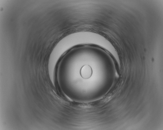 X0000076380284200610161123