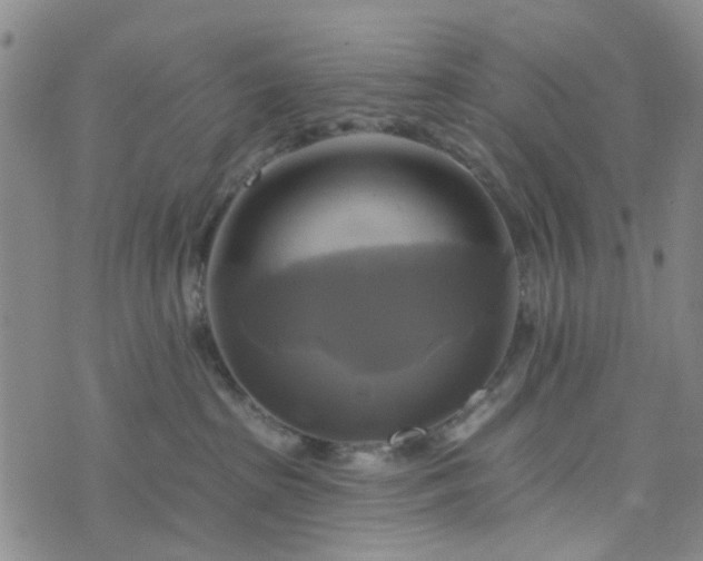 X0000076380285200610161123