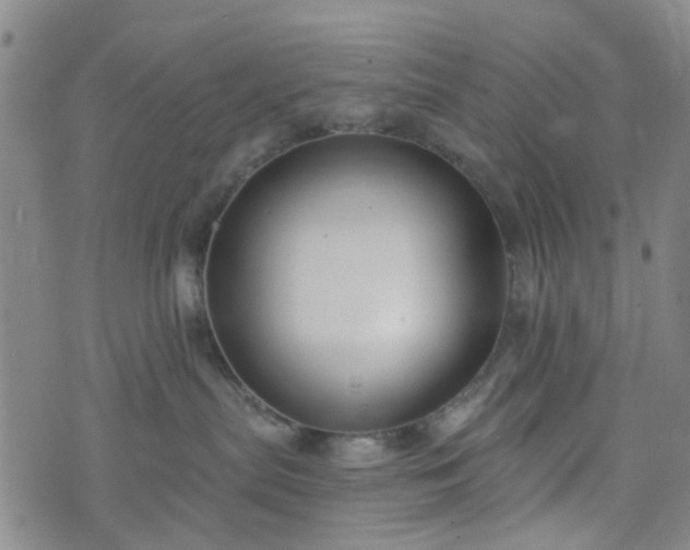 X0000076380287200610161123