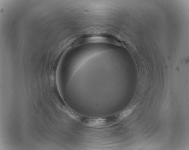 X0000076380288200610161123