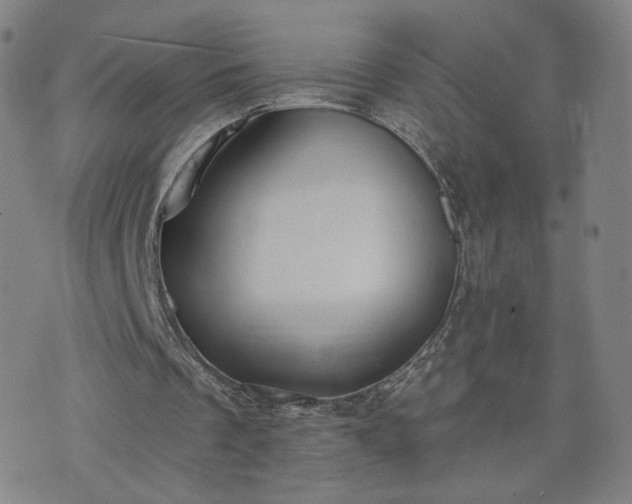 X0000076380289200610161122