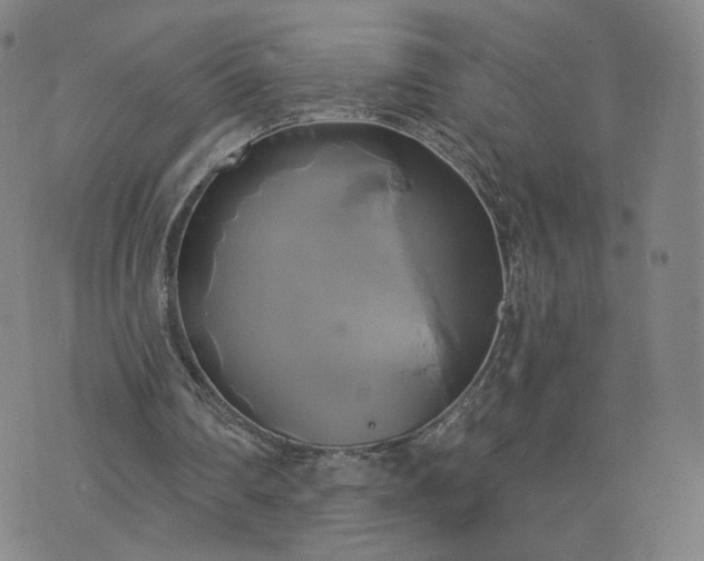 X0000076380290200610161122