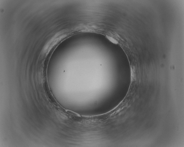 X0000076380291200610161122