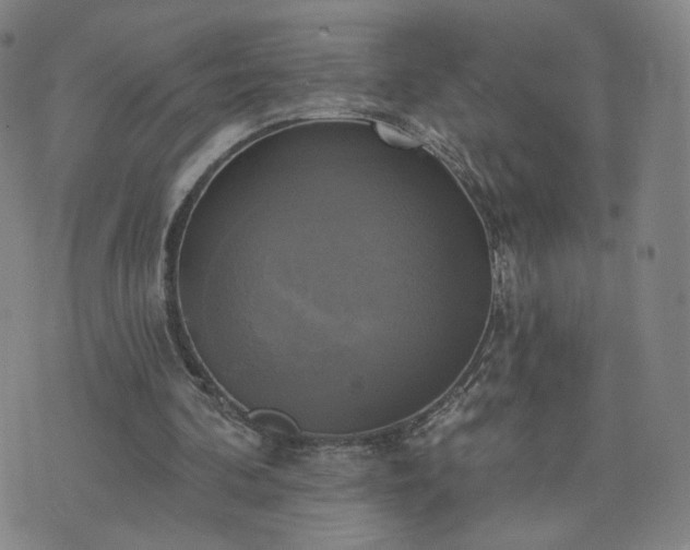 X0000076380292200610161122