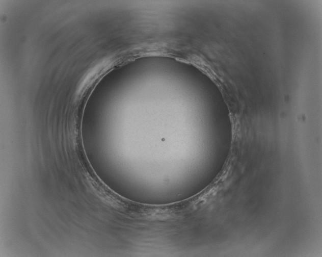 X0000076380293200610161122