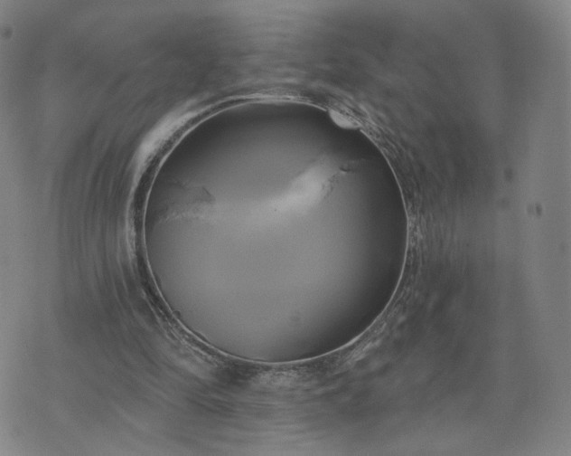 X0000076380294200610161122