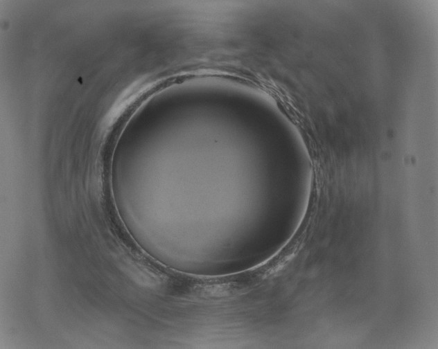 X0000076380295200610161122