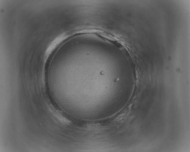 X0000076380296200610161122