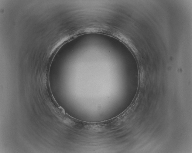 X0000076380297200610161122