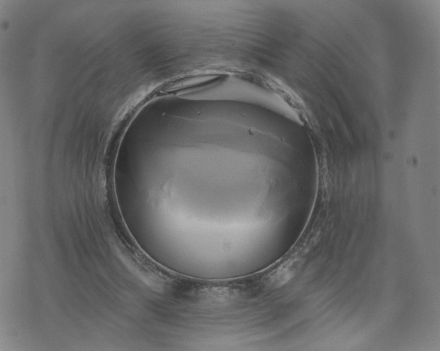 X0000076380298200610161122