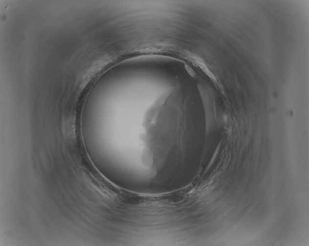 X0000076380299200610161122