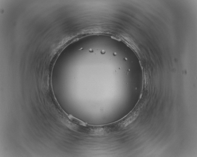 X0000076380301200610161122