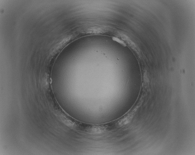 X0000076380305200610161122