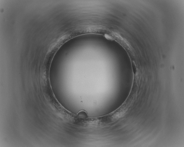 X0000076380306200610161122