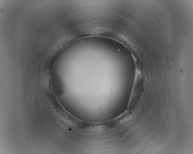 X0000076380307200610161122