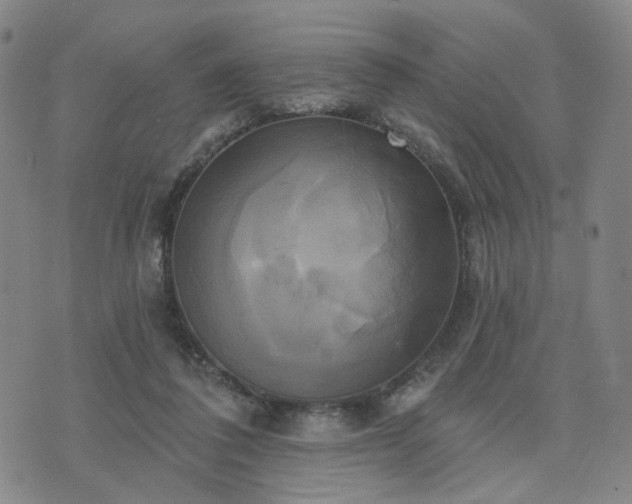 X0000076380308200610161122