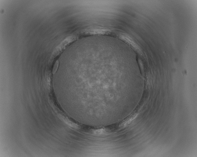 X0000076380309200610161122