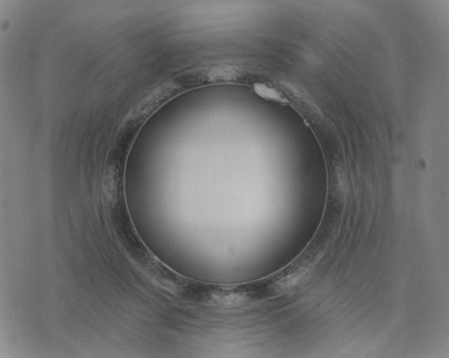 X0000076380311200610161122