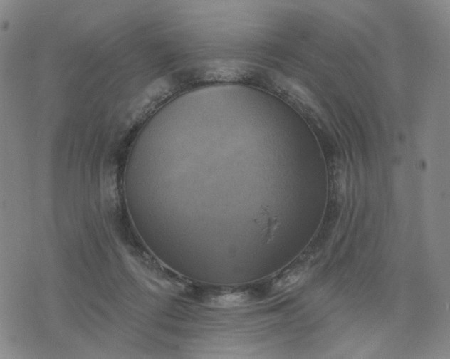 X0000076380312200610161122