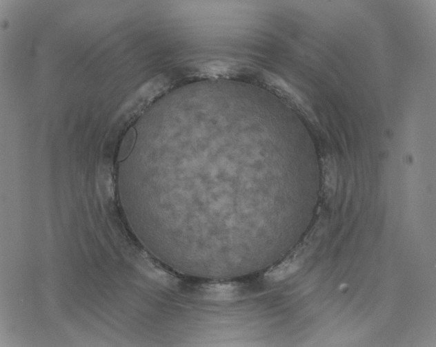 X0000076380313200610161122