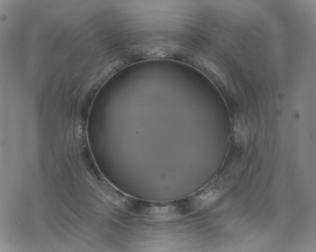 X0000076380314200610161122