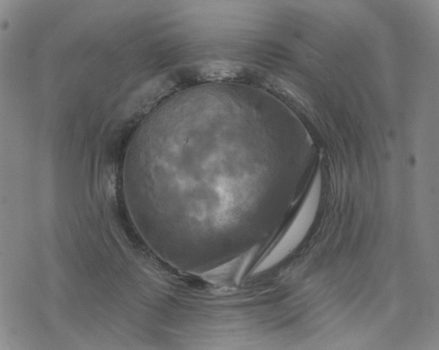 X0000076380315200610161122