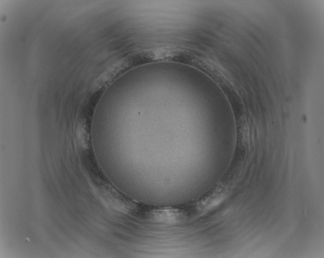 X0000076380316200610161122