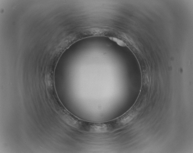 X0000076380317200610161122