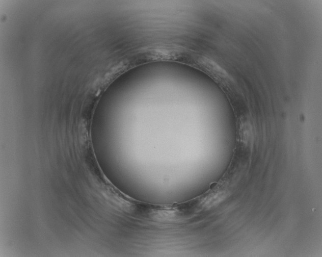 X0000076380318200610161122