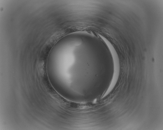 X0000076380319200610161121