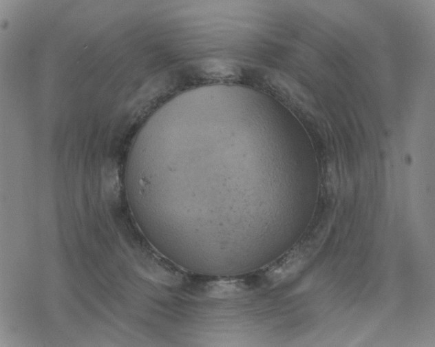 X0000076380320200610161121