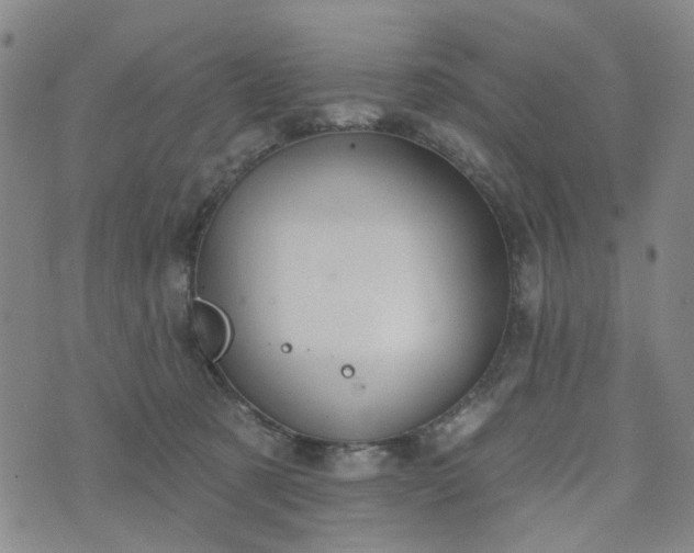 X0000076380321200610161121