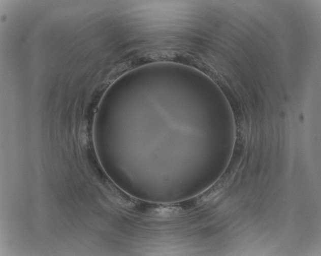 X0000076380323200610161121