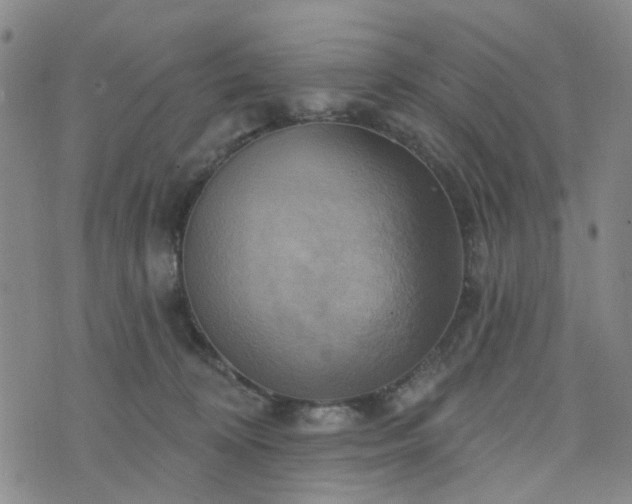 X0000076380324200610161121