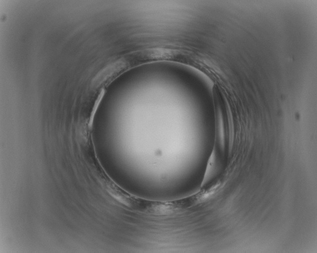 X0000076380325200610161121