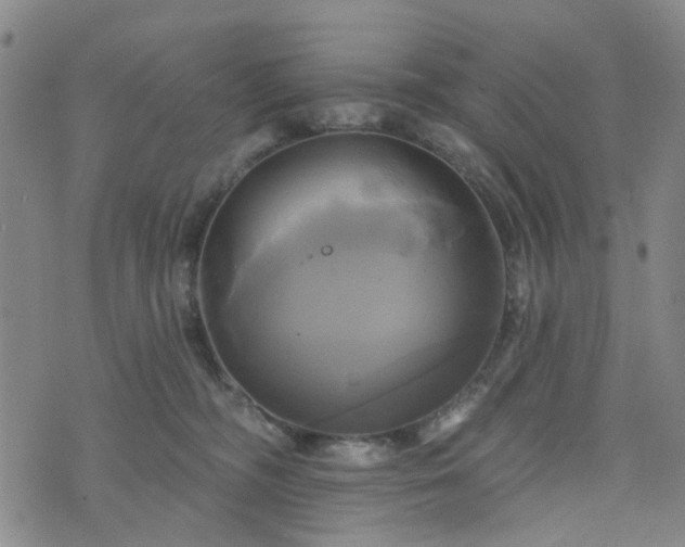 X0000076380326200610161121