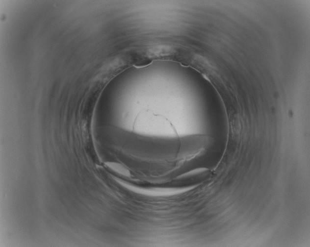 X0000076380327200610161121