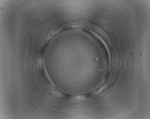 X0000076380329200610161121