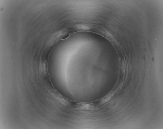 X0000076380330200610161121