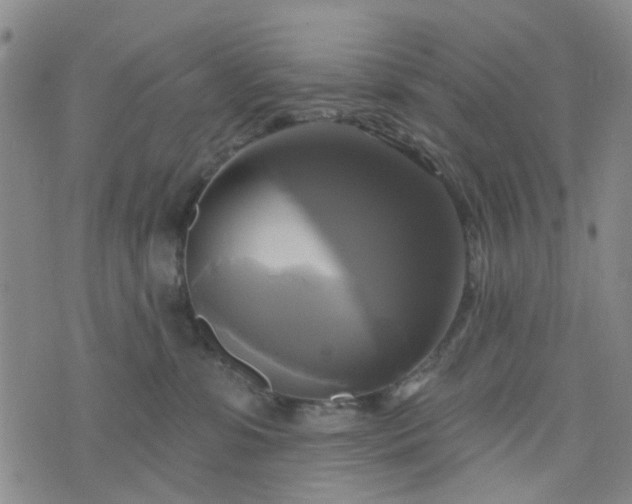 X0000076380331200610161121