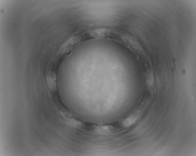 X0000076380332200610161121